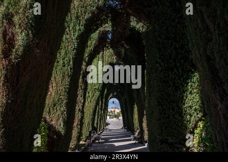 Cimitero di Santa Margalida, Maiorca, Isole Baleari, Spagna. Foto Stock