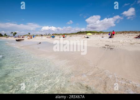 Es Caragol spiaggia, Ses Salines, Mallorca, Isole Baleari, Spagna. Foto Stock