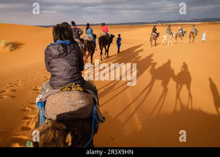 Le dune di ERG Chebbi, Merzouga, Marruecos, Africa. Foto Stock