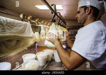 Fatto tutto artigianelmente fabricacion de queso Binigarba - denominacion de origen Mahon artesano- finca Binigarba, Ciutadella, Menorca, Islas Baleares, España, Europa. Foto Stock