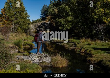 El Sotillo de Tejera Negra, Parco Naturale Sierra Norte de Guadalajara, Cantalojas, Guadalajara, Spagna. Foto Stock