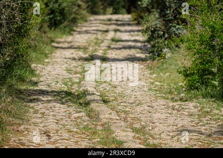 Camino de Bànyols, Alaró, Maiorca, isole Baleari, Spagna. Foto Stock