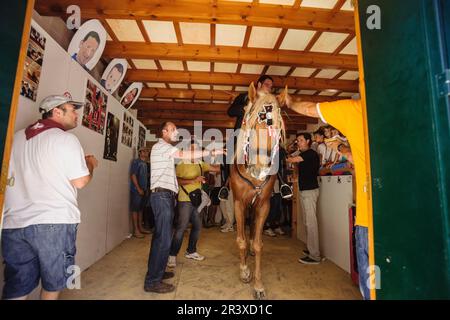 Caragol de Santa Clara, Fiestas de Sant Joan. Ciutadella. Minorca, Islas Baleares, España. Foto Stock