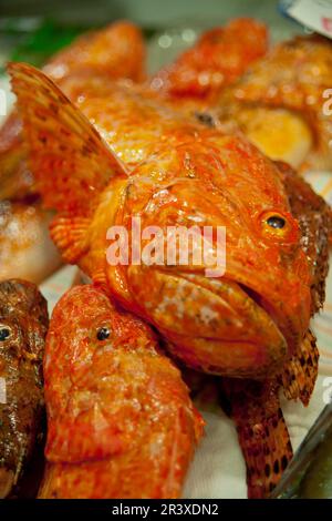 Pescaderia del Mercat de l'Olivar, Palma, Mallorca, Isole Balneari, Spagna. Foto Stock