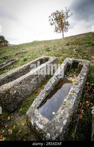 Tombe antropomorfe medievali, chiesa grotta di Santa María de Valverde., Valderreibile, Cantabria, España. Foto Stock