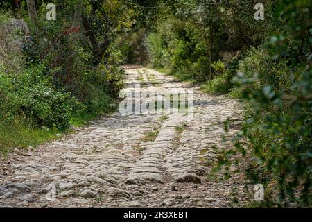 Camino de Bànyols, Alaró, Maiorca, isole Baleari, Spagna. Foto Stock