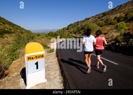 Carretera de randa a Cura, macizo de Randa, Algaida, Maiorca, isole Baleari, Spagna, Europa. Foto Stock