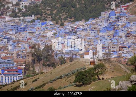 Moschea spagnola, Jemaa Bouzafar, costruita dagli spagnoli in stile andaluso, Chauen, marocco, africa. Foto Stock