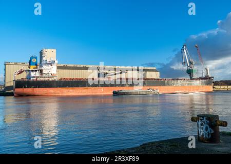 Rouen (Francia settentrionale): Il porto fluviale attraverso la Senna, porto HAROPA. Silos, Beuzelin Groupe BZ contenitori di grano dal fiume Senna: Carico di grano Foto Stock