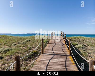 Sentiero in legno per proteggere le dune, Arenal de sa Canova, Artà - Santa Margalida, Area Naturale di particolare interesse, Maiorca, Isole Baleari, Spagna. Foto Stock