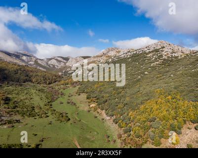 Valle di Tosande. Parco Naturale di Fuentes Carrionas Foto Stock