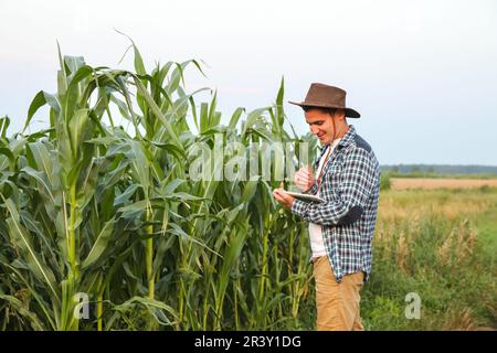 Tablet agro-tech. Il coltivatore di mais maschio calmo caucasico in tuta cammina lungo un campo di mais con un tablet pc in mano. Copia spazio Foto Stock