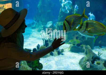 Una giovane donna tocca un pesce di razza in un tunnel oceanarium Foto Stock