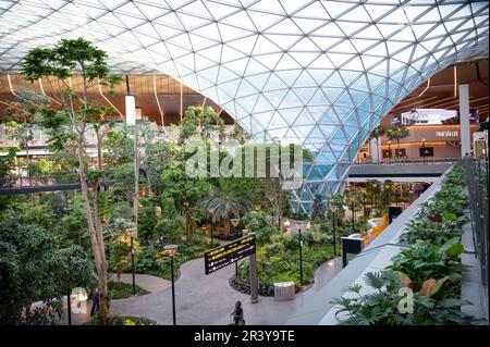 L'Aeroporto Internazionale di Hamad diventa un frutteto con un concorso curato, sostenibile e verde Foto Stock