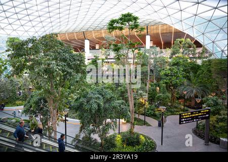 L'Aeroporto Internazionale di Hamad diventa un frutteto con un concorso curato, sostenibile e verde Foto Stock