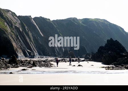 Costa gallese paesaggio costiero Marloes Sands Pembrokeshire West Wales UK KATHY DEWITT Foto Stock