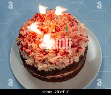 Torta di compleanno al cioccolato e lampone con candele soffiate Foto Stock