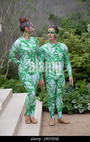 FILE PICS. 25th maggio, 2023. Il gruppo di attivisti ecologici, Just Stop Oil, oggi ha spruzzato vernice arancione sul giardino dei delfini RBC Brewin al Chelsea Flower Show progettato da Paul Hervey-Brookes (le immagini mostrano gli artisti nel giardino il giorno della stampa il lunedì all'inizio di questa settimana). Pimlico, Londra, Regno Unito. 22nd maggio, 2023. Un paio di contorzionisti che si esibiscono fanno una performance interpretativa che rappresenta il passaggio della conoscenza attraverso il movimento a fasi, ispirandosi al tema del giardino. Credit: Maureen McLean/Alamy Live News Foto Stock