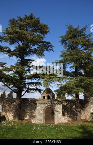 Tomba monumentale nel cimitero Domenicano, nel Jardin de l'Enclos, incorniciato da cedri libanesi, Saint-Maximin-la-Sainte-Baume Provenza Francia Foto Stock