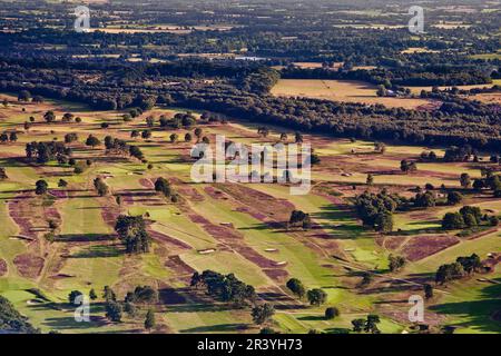 Vista aerea sui campi del Walton Heath Golf Club - sede dell'AIG Womens Open 2023 tra il 10th e il 13th agosto Foto Stock