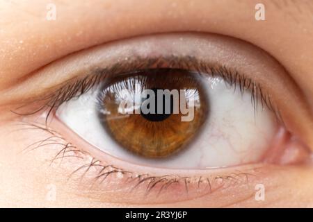 Foto ravvicinata di un occhio umano con iride marrone Foto Stock