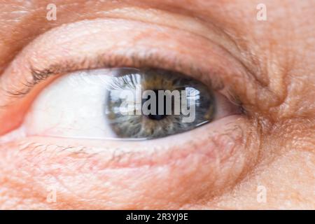 Foto macro di un occhio umano con iride verde grigio Foto Stock