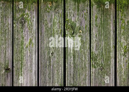 Vecchio muro di legno grungo con vernice verde peeling, sfondo astratto foto texture Foto Stock