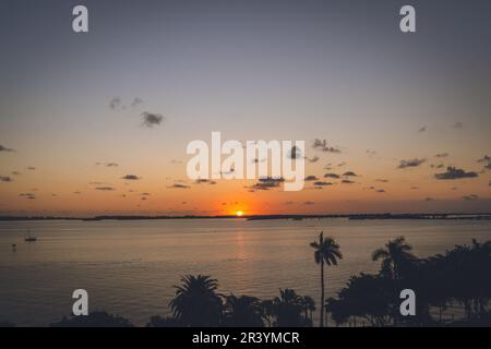 Vista dell'alba a Miami Foto Stock