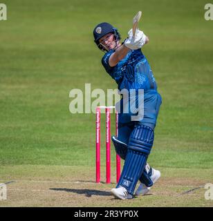 Harry è venuto a battere per il Derbyshire contro il Leicestershire in una partita di XI T20 del 2nd Foto Stock