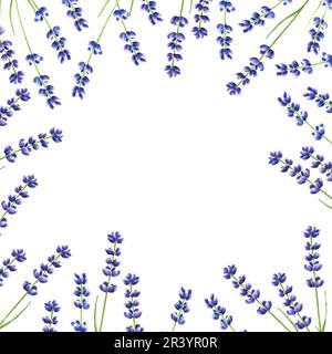 Cornice in acquerello con illustrazione in lavanda isolata su sfondo bianco. Particolare di prodotti di bellezza e botanica, cosmetologia e medicina. Per i desi Foto Stock
