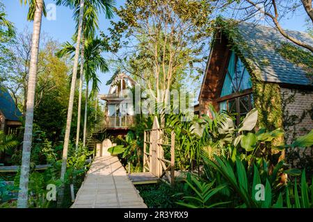 Cottage in legno circondato da palme e un orto in campagna. cabina foresta pluviale Foto Stock