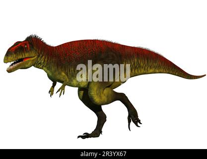 Dinosauro gigas Meraxes, vista laterale su sfondo bianco. Foto Stock