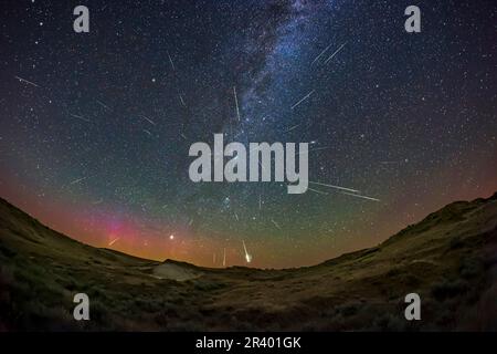 perseid meteor doccia sopra Dinosaur Provincial Park, Alberta, Canada. Foto Stock