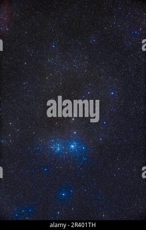 Il doppio cluster e lo stock 2 cluster Muscleman. Foto Stock