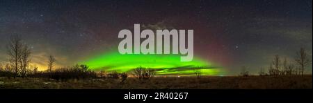 Un arco di aurora attraverso il nord, nell'Alberta meridionale, Canada. Foto Stock