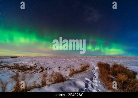 Un'esposizione aurora nell'Alberta meridionale, Canada, con illuminazione dalla luna cerante. Foto Stock