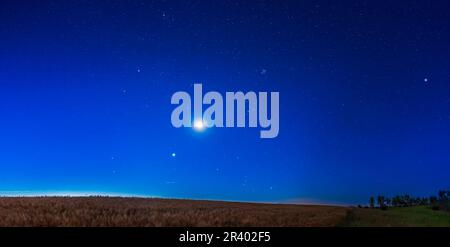 Le stelle del cielo invernale settentrionale che si innalzano all'alba dall'Alberta meridionale, Canada. Foto Stock