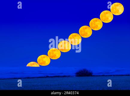 Risorgente della Luna piena di neve il 27 febbraio 2021, dall'Alberta meridionale, Canada. Foto Stock