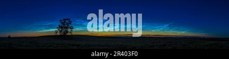 Un panorama a 90 gradi dell'enorme esposizione di nuvole noctillucent al crepuscolo nell'Alberta meridionale, Canada. Foto Stock