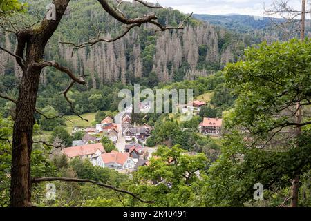 Treseburg in Bodetal valle Harz Foto Stock