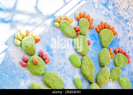 Cactus verde con frutta in pietra pareti colorate Foto Stock