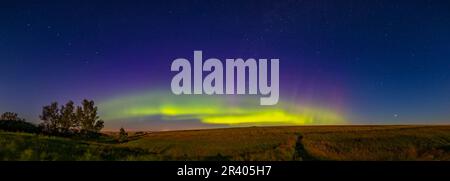 Arco aurorale su un campo di grano nell'Alberta meridionale, Canada. Foto Stock