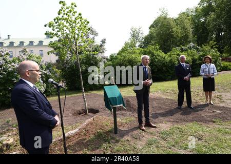 Il re svedese Carl XVI Gustaf e la regina Silvia durante una visita a Linkšping, in Svezia, giovedì, in occasione del Giubileo del 50th del Trono del re di Svezia. Nella foto: La coppia reale durante la cerimonia di piantagione di alberi nel giardino del castello. Foto Stock