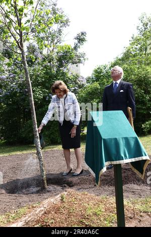 Il re svedese Carl XVI Gustaf e la regina Silvia durante una visita a Linkšping, in Svezia, giovedì, in occasione del Giubileo del 50th del Trono del re di Svezia. Nella foto: La coppia reale durante la cerimonia di piantagione di alberi nel giardino del castello. Foto Stock