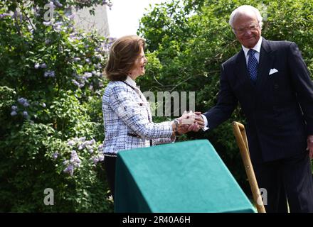 Il re svedese Carl XVI Gustaf e la regina Silvia durante una visita a Linkšping, in Svezia, giovedì, in occasione del Giubileo del 50th del Trono del re di Svezia. Nella foto: La coppia reale durante la cerimonia di piantagione di alberi nel giardino del castello. Foto Stock