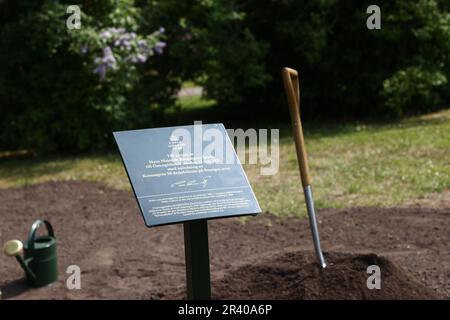 Il re svedese Carl XVI Gustaf e la regina Silvia durante una visita a Linkšping, in Svezia, giovedì, in occasione del Giubileo del 50th del Trono del re di Svezia. Nella foto: La coppia reale durante la cerimonia di piantagione di alberi nel giardino del castello. Foto Stock