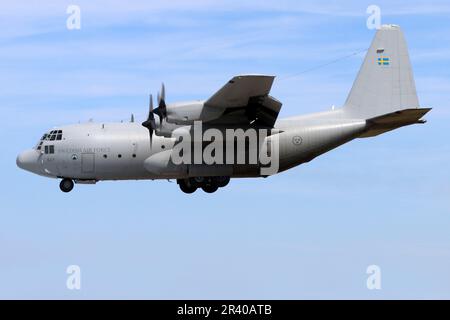 Un C-130H Hercules dell'aeronautica svedese si prepara all'atterraggio. Foto Stock