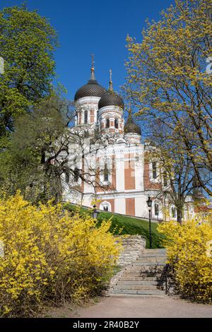 Le scale del giardino di Komandandi conducono alla cattedrale russa di Alexander Nevsky in un giorno di primavera soleggiato a Vanalinn, la città vecchia di Tallin, Estonia Foto Stock