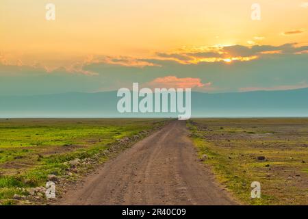 Vista all'alba sui sentieri del safari all'interno del cratere di Ngorongoro, Tanzania Foto Stock