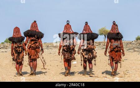 Gruppo di donne della tribù Himba cammina attraverso il deserto in abiti nazionali. Foto Stock